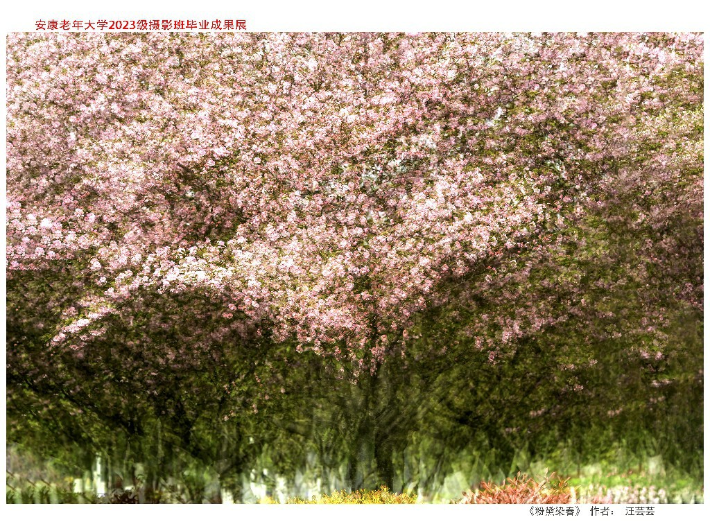 汪芸芸作品