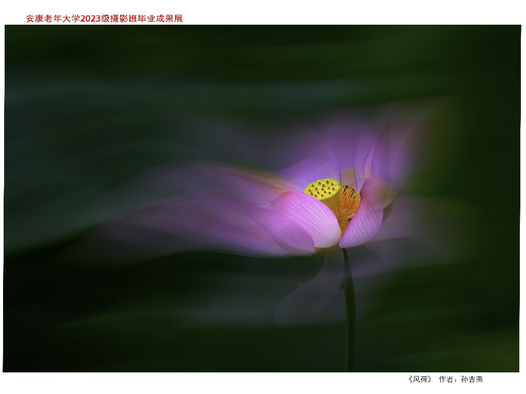 孙吉燕作品