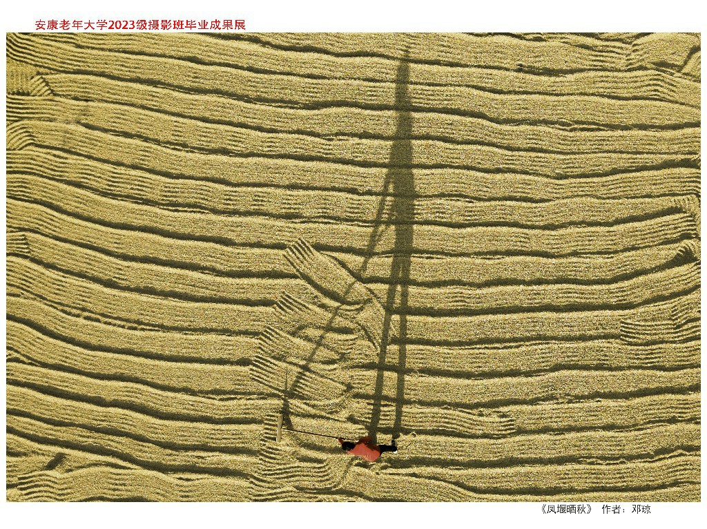 邓琼作品