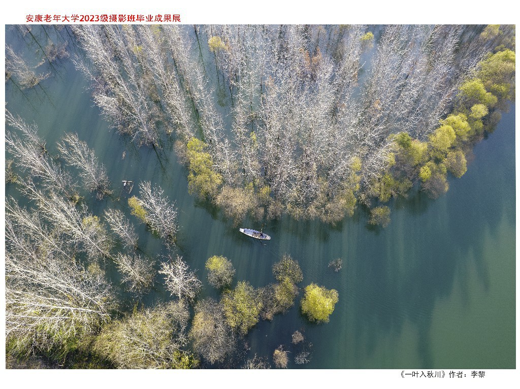 李黎作品